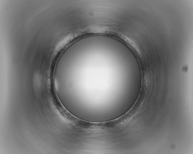 X0000089950682200707201926