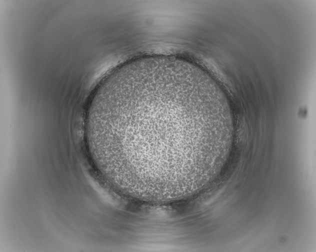 X0000089950683200707201926