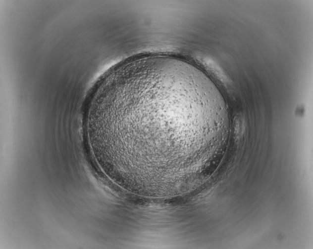 X0000089950684200707201925