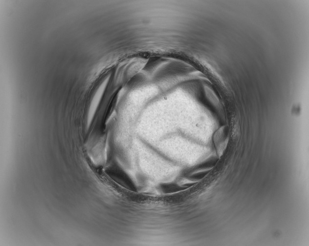 X0000089950685200707201925