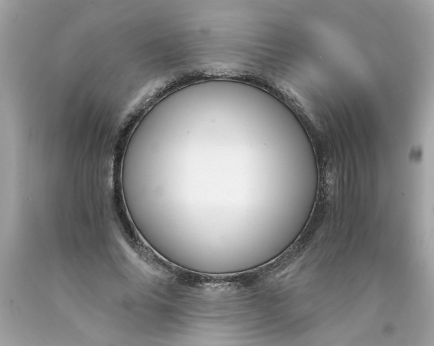 X0000089950686200707201925