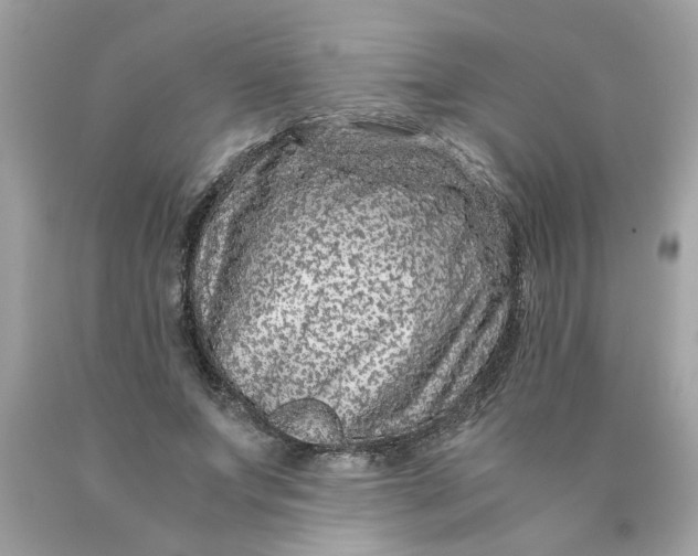 X0000089950687200707201925