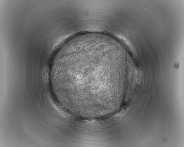 X0000089950688200707201925