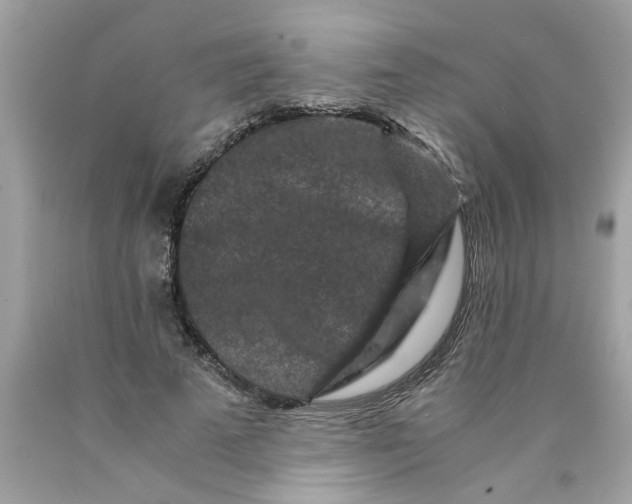 X0000089950689200707201925