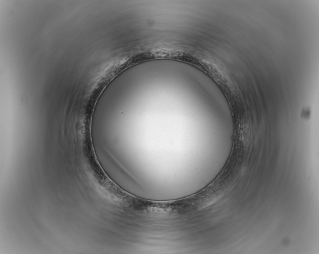 X0000089950690200707201925