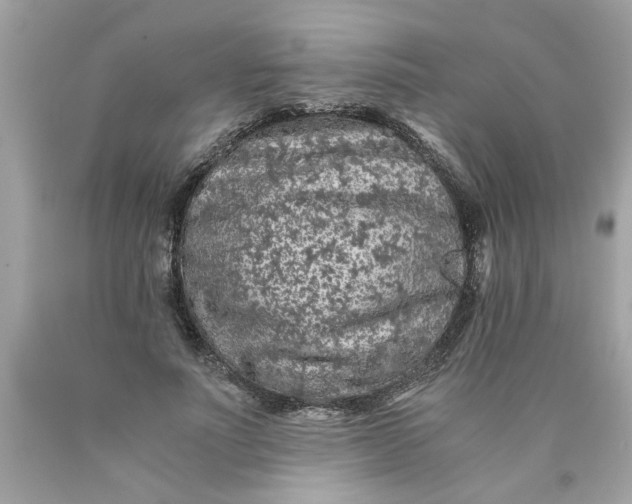 X0000089950691200707201925