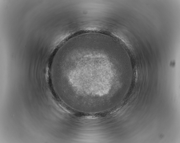 X0000089950692200707201925