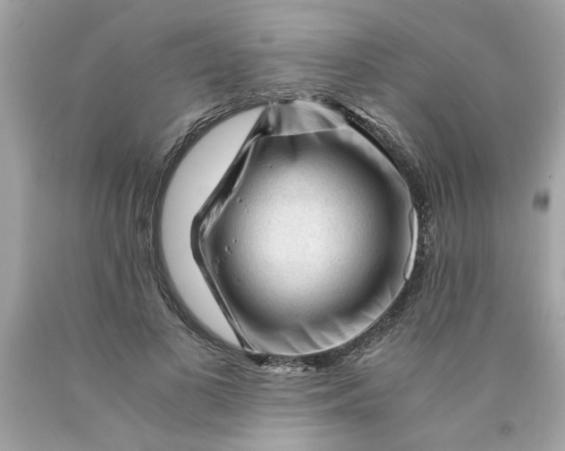 X0000089950693200707201925