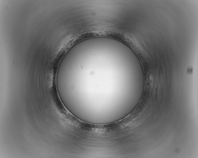 X0000089950694200707201925