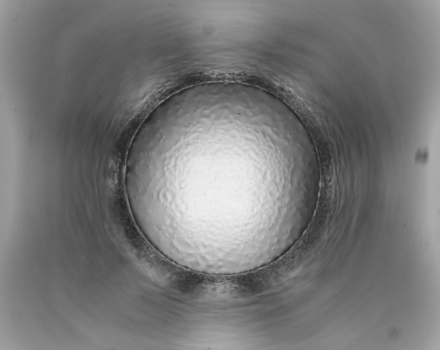 X0000089950695200707201925