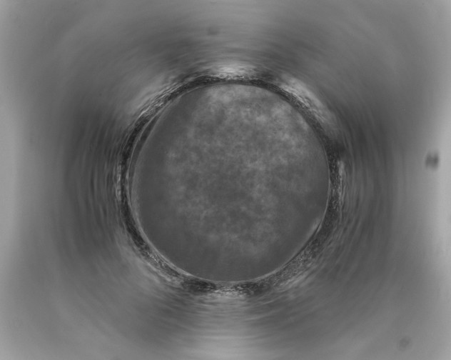 X0000089950696200707201925