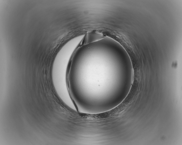 X0000089950697200707201925