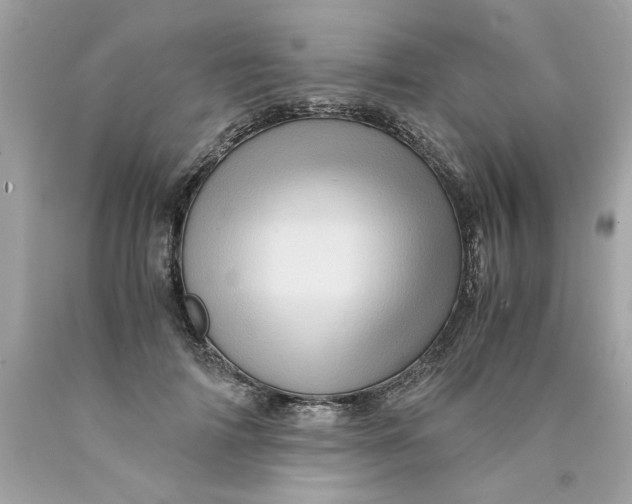 X0000089950698200707201925