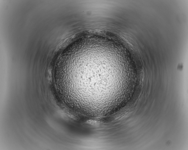 X0000089950699200707201925