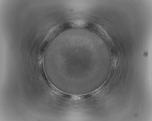 X0000089950701200707201925