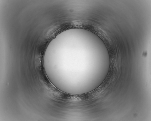 X0000089950702200707201925