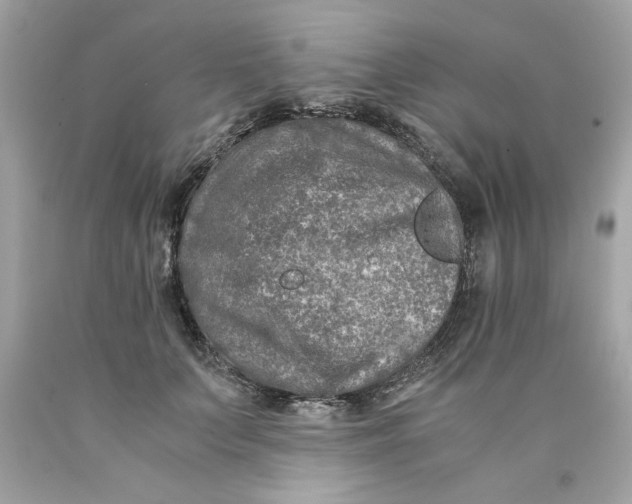 X0000089950703200707201925