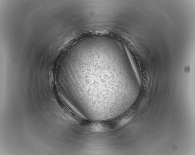 X0000089950704200707201925