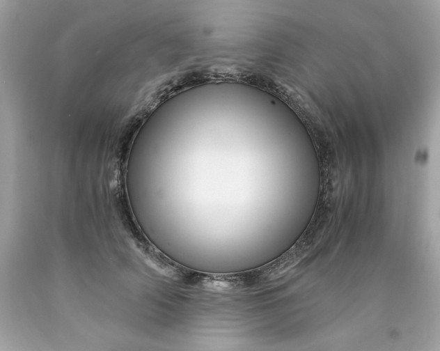 X0000089950706200707201925