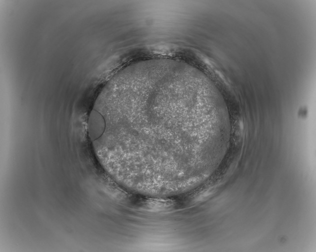 X0000089950707200707201925