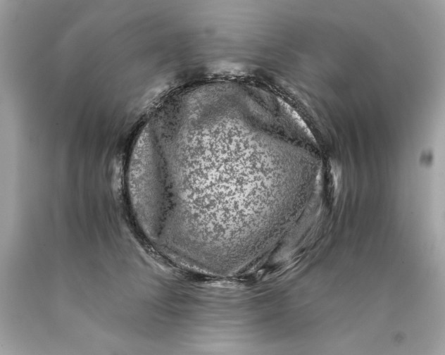 X0000089950708200707201925