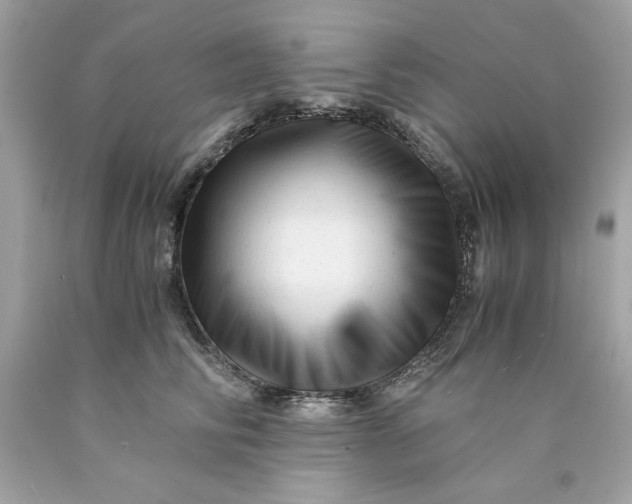 X0000089950710200707201925