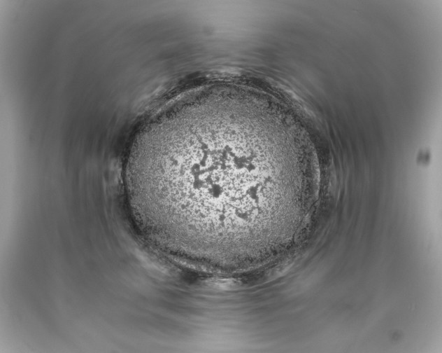 X0000089950711200707201925