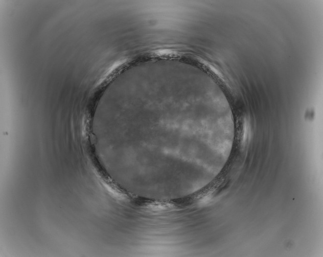 X0000089950712200707201925