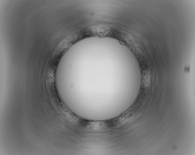 X0000089950713200707201925