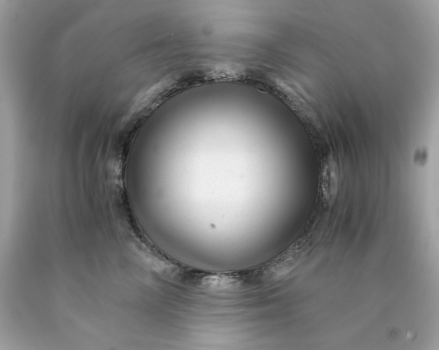 X0000089950714200707201925