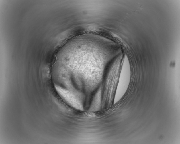 X0000089950715200707201925