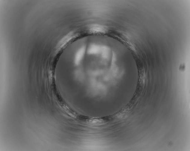 X0000089950716200707201925