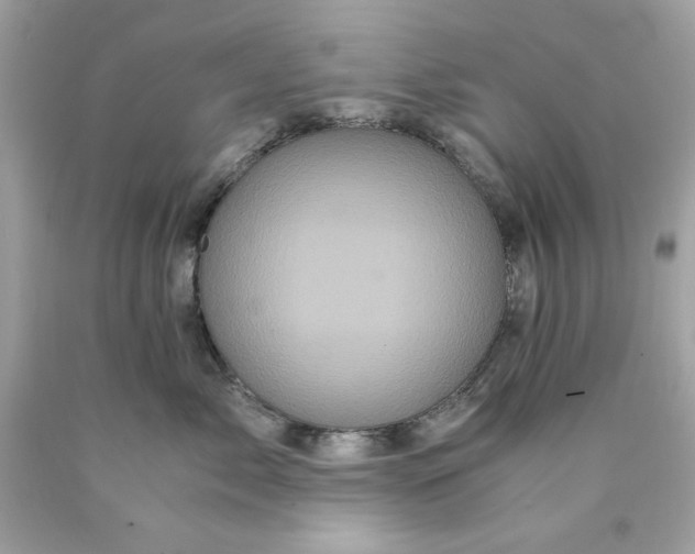 X0000089950717200707201925