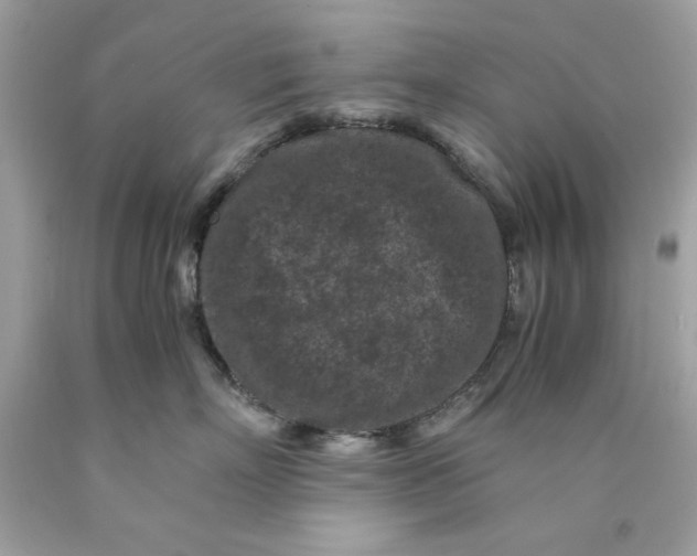 X0000089950718200707201925