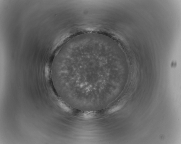 X0000089950720200707201925