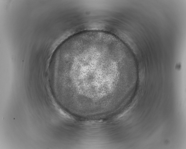 X0000089950721200707201924