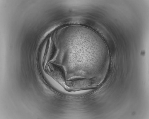 X0000089950722200707201924