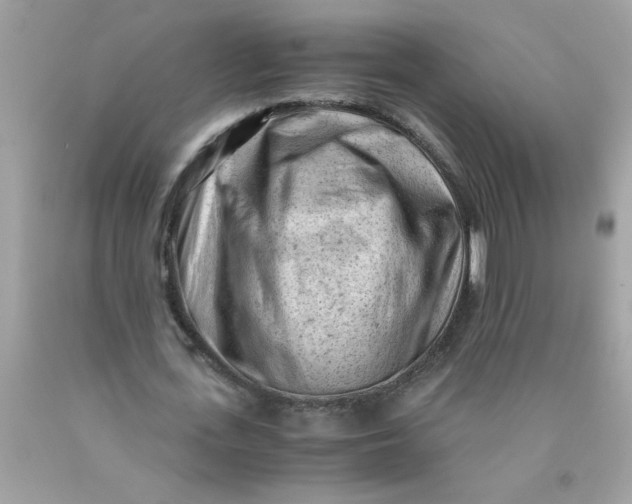 X0000089950723200707201924