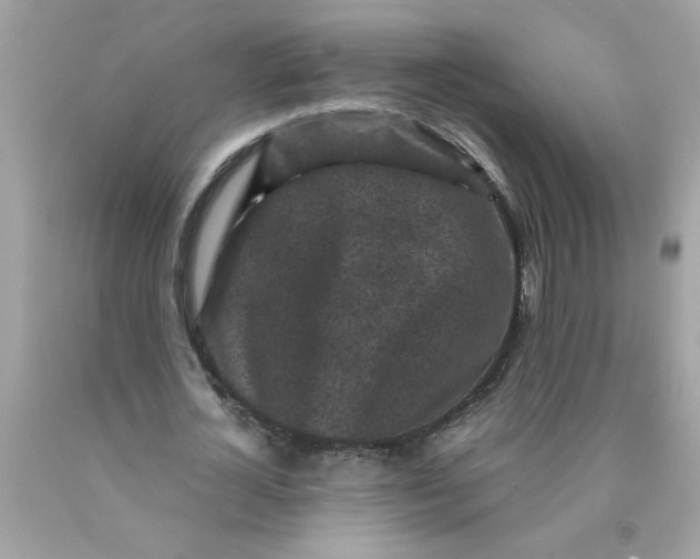 X0000089950724200707201924