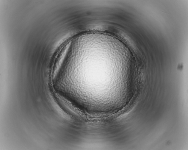 X0000089950725200707201924