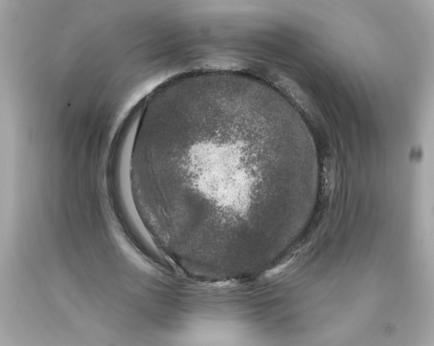 X0000089950726200707201924