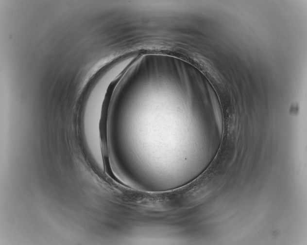 X0000089950727200707201924