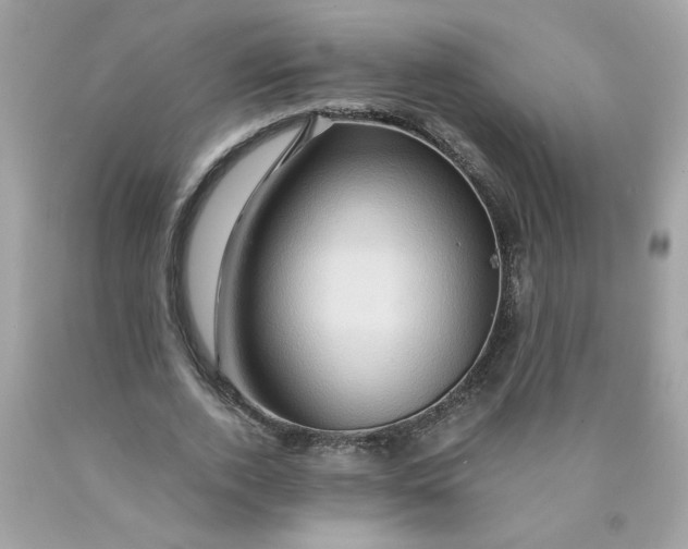 X0000089950728200707201924