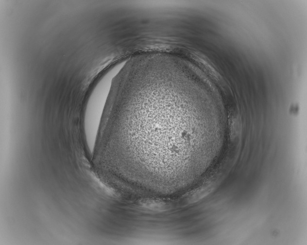 X0000089950729200707201924