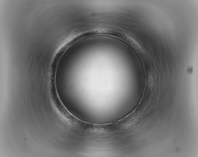 X0000089950730200707201924