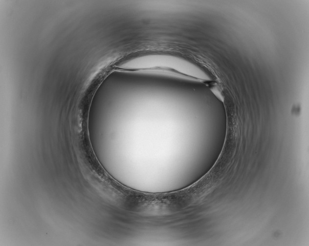 X0000089950731200707201924