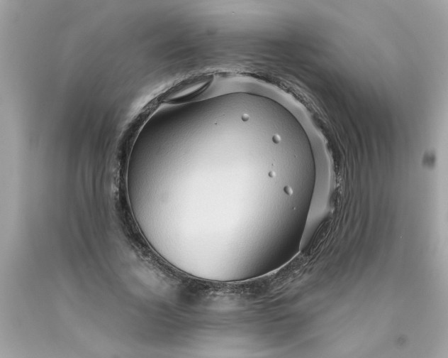 X0000089950732200707201924