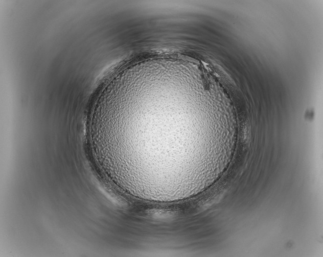 X0000089950733200707201924