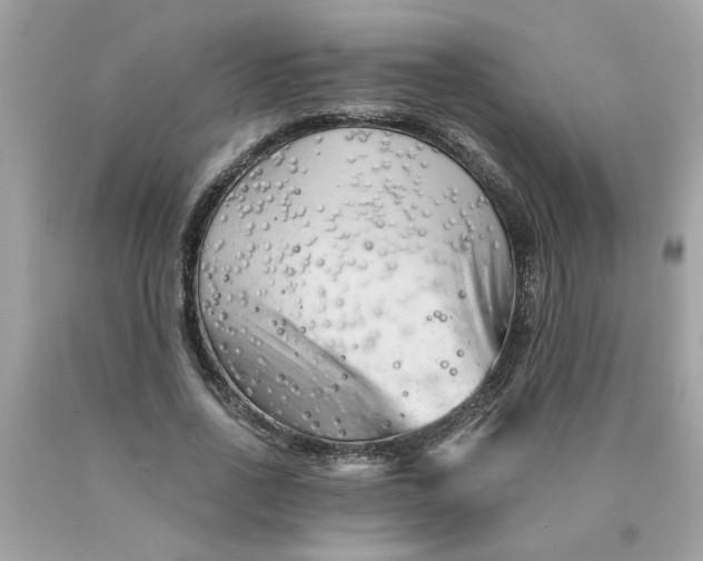 X0000089950734200707201924