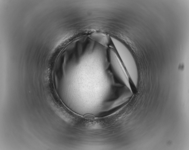 X0000089950735200707201925